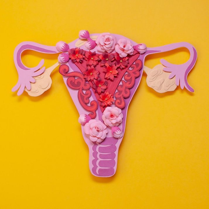 Posizioni Per Rimanere Incinta Utero Retroverso