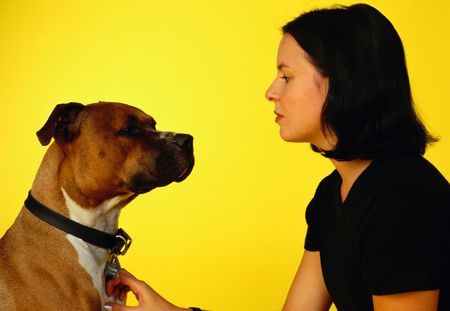 Étude : quelle race de chien est plus susceptible de mordre que les autres ?