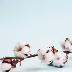 Baumwollhochzeit: Die schönsten Ideen zum 2. Hochzeitstag