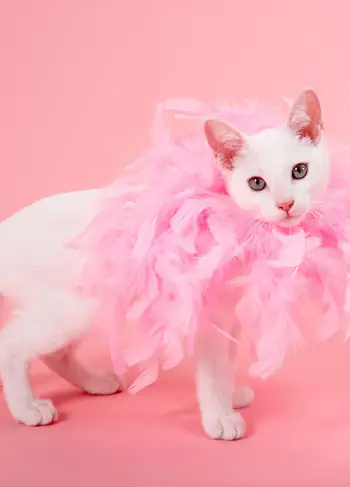 Estos 3 signos astrológicos son verdaderas drama queen, ¡siempre en exceso!