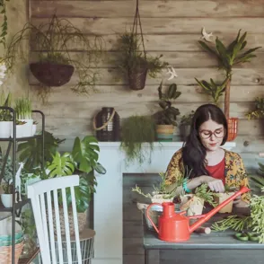 ¡Te revelamos la planta que corresponde a tu signo del zodiaco!