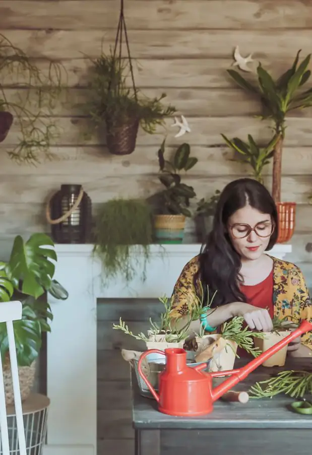 &iexcl;Te revelamos la planta que corresponde a tu signo del zodiaco!