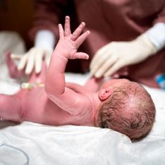 Pénis atrophiés, malformations génitales… La pollution a des effets dramatiques chez les nouveau-nés, alerte cette scientifique