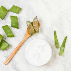 Aloe Vera Creme: Natürliche Pflege für deine Haut