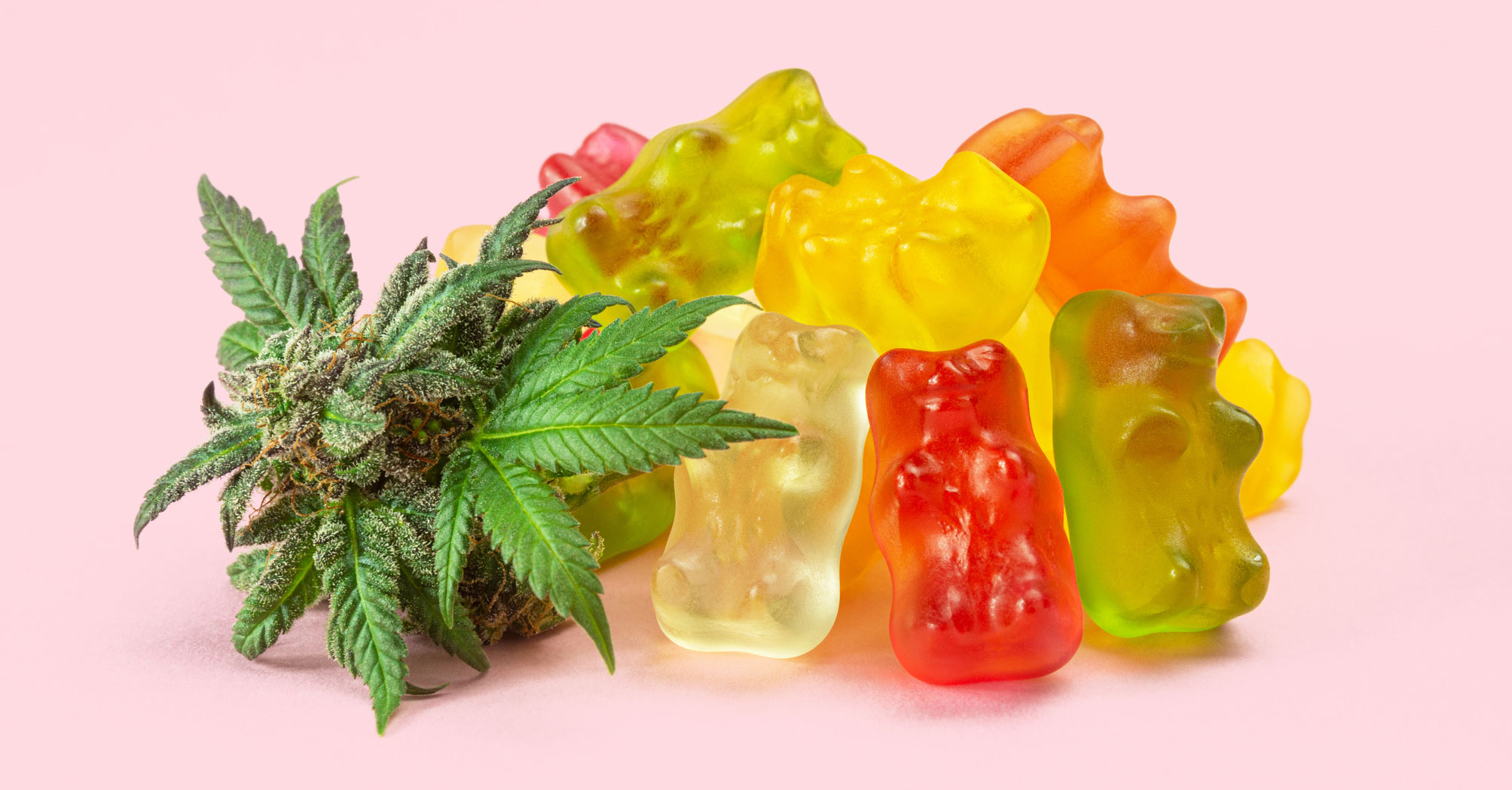 Makers CBD For Blood Sugar Control: The Economic Impact Of Using CBD