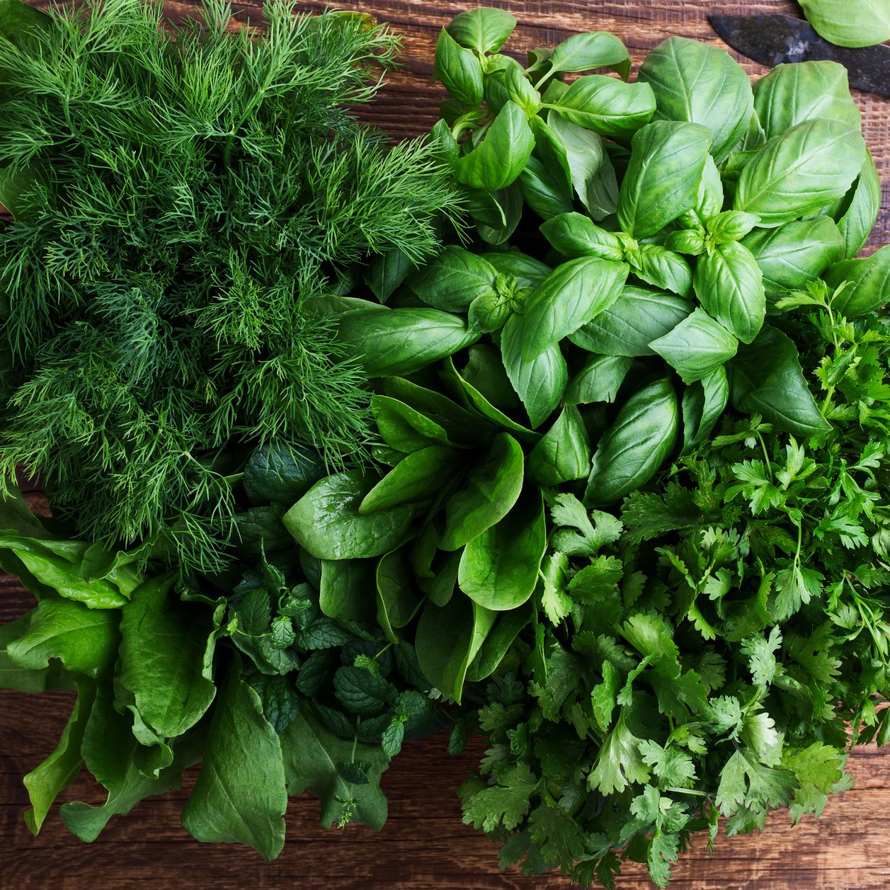 5 astuces de pro pour mieux conserver vos herbes aromatiques