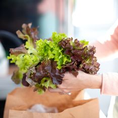 Comment conserver une salade verte ?