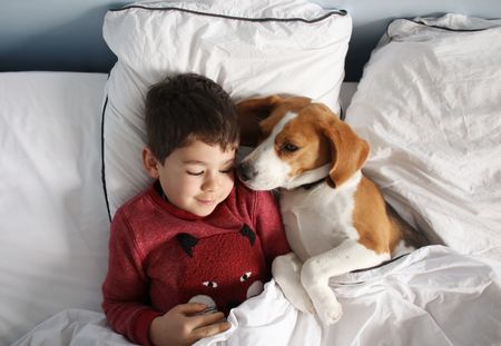 Est-ce dangereux pour un enfant de dormir avec son animal de compagnie ?