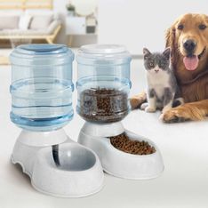 Bon plan - Un distributeur automatique croquettes et eau pour chat ou chien
