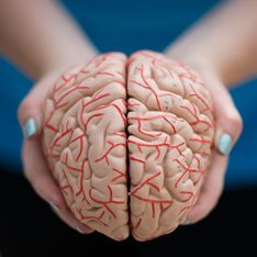 Régénérescence des neurones : Ce nouvel espoir pour lutter contre Alzheimer et Parkinson