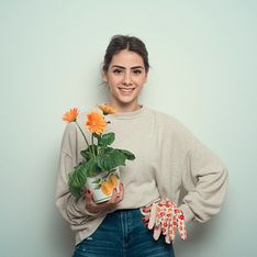 Pianta con fiori arancioni: un caldo tocco di colore
