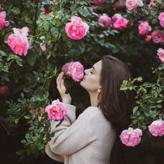 Sogni una pianta con i fiori rosa? Queste sono le più belle!