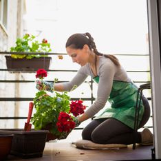 Piante fiorite da balcone: scopri le varietà più decorative!