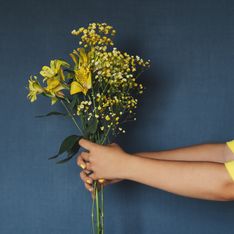 Pianta con fiori gialli: le 10 più belle per decorare casa e giardino