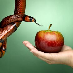 Rêver de serpent : quelles significations ?