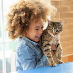 Cette école accueille deux chatons et cela a un réel impact sur les enfants