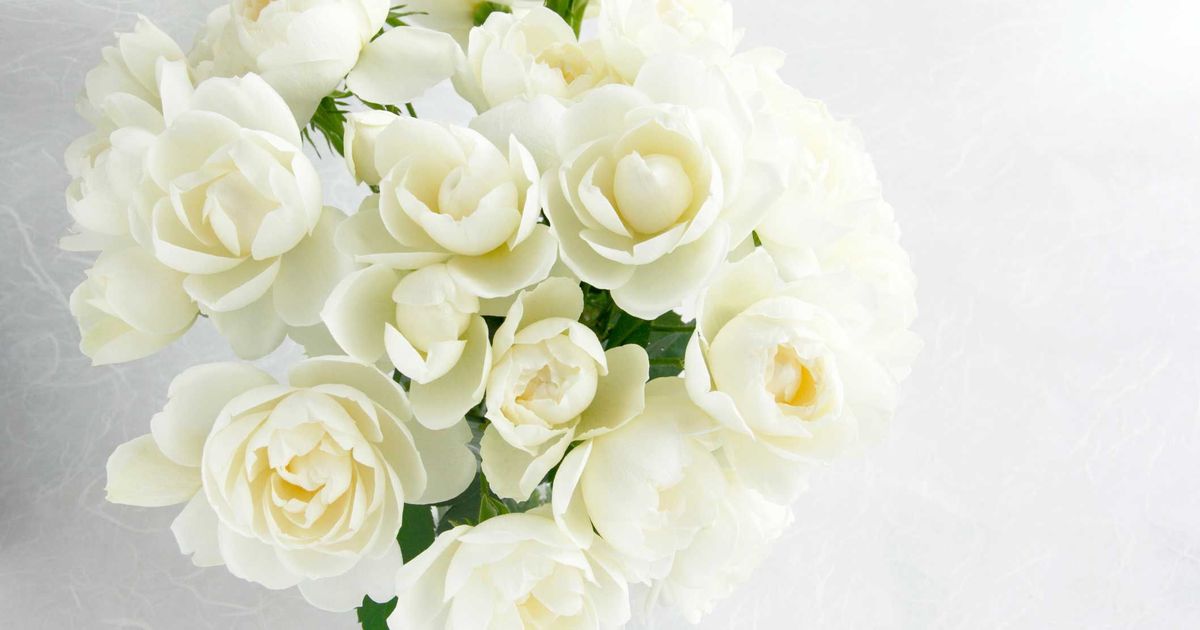 14. Hochzeitstag Die schönsten Ideen zur Elfenbeinhochzeit