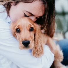 Hundeerziehung: Diese 3 Fehler schaden unseren Vierbeinern
