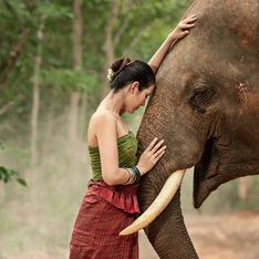 Sognare elefanti: sai qual è il significato di questo sogno?