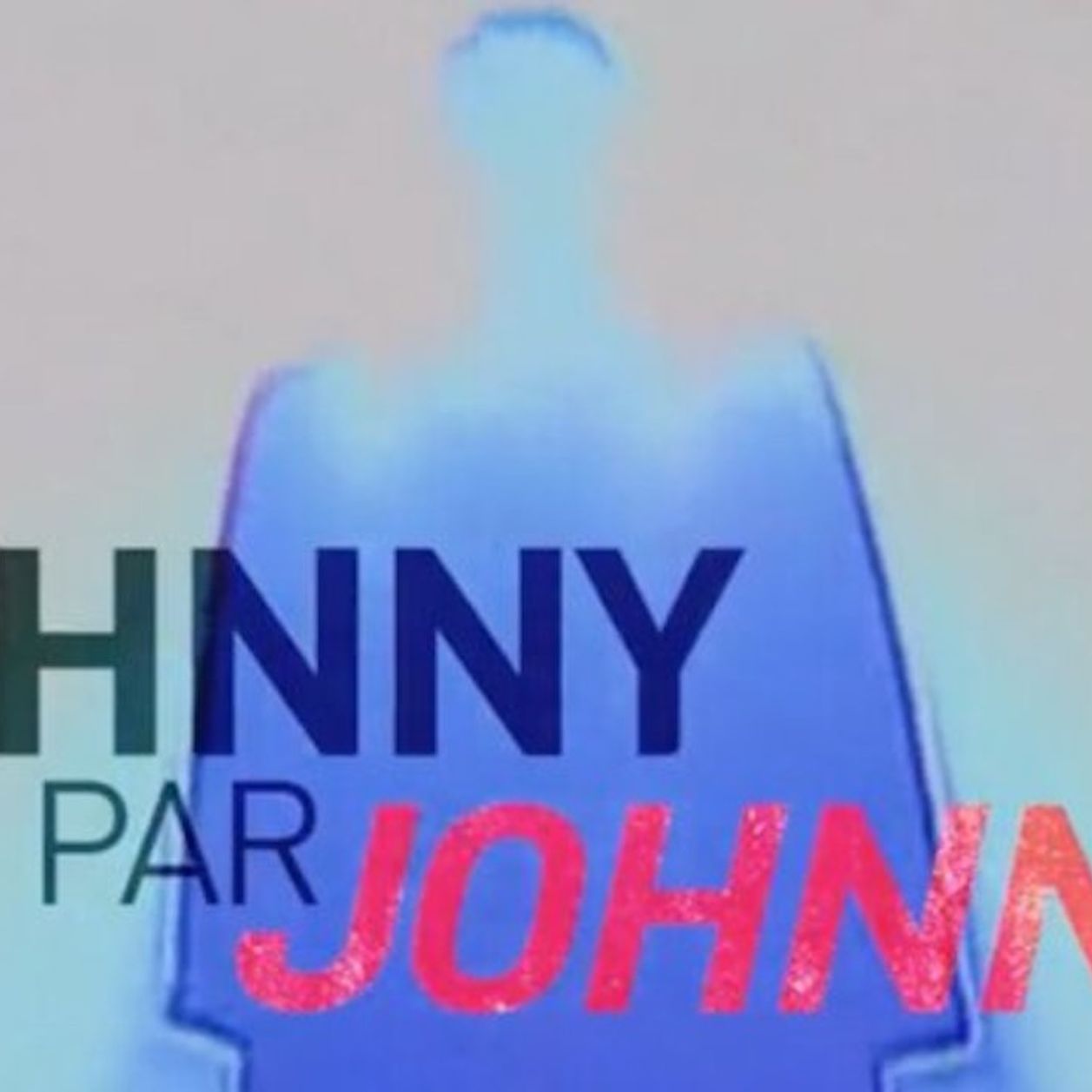Johnny par Johnny (Netflix) : combien y a-t-il d'épisodes ?
