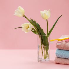 Significato tulipano: cosa significa regalare questo fiore?
