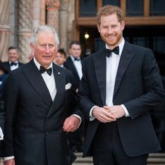 Prince Charles : le “cœur brisé” par sa relation avec le prince Harry