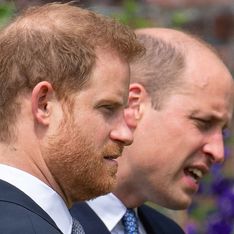 Le Prince Harry tient à se réconcilier rapidement avec son frère William, et voici pourquoi