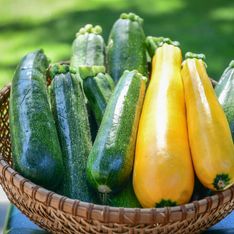 Zucchini roh essen – Gefährlich oder gesund?