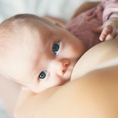Coquillages d’allaitement : à quoi servent-ils vraiment ? Une sage-femme nous éclaire
