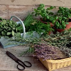 Nos astuces ultra simples pour conserver vos herbes aromatiques plus longtemps