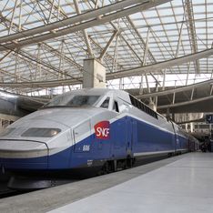 Deux soignants sauvent un nourrisson victime d’un malaise à bord d'un TGV Paris-Brest