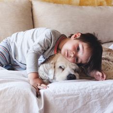 Hépatites aiguës d’origine inconnue : les enfants au contact des chiens seraient plus touchés