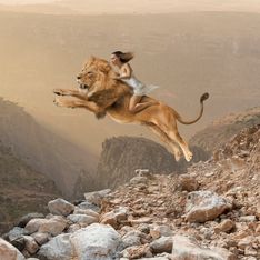 Sognare un leone: ecco come possiamo interpretare questo sogno