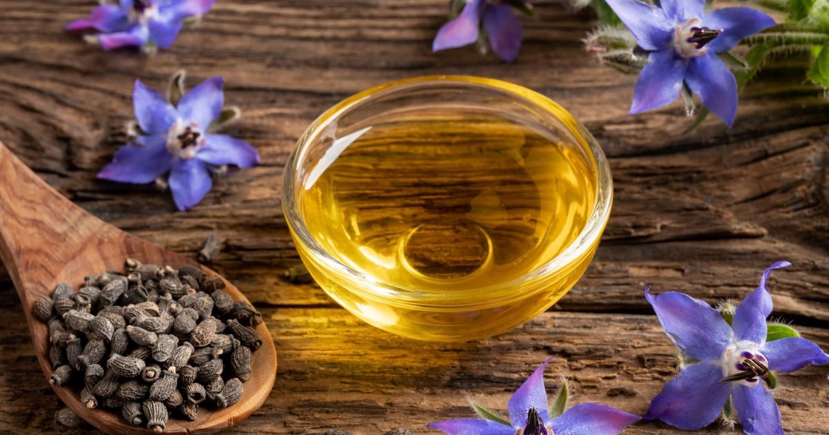 Olio di borragine proprietà, usi e controindicazioni