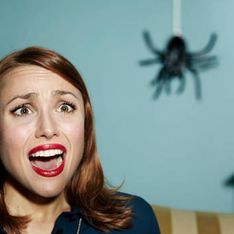 Cosa fare in caso di una puntura di ragno? Sintomi e rimedi