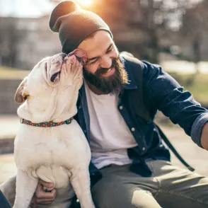 Die perfekten "Wingpups": Welche Hunderassen ziehen bei Tinder?