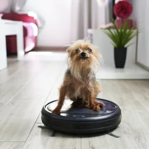 Amazon Prime Day 2022: iRobot-Saugroboter heute bis zu 45 % günstiger