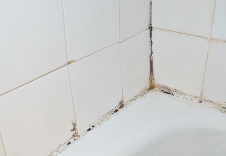 17 astuces de grand-mère pour enlever la moisissure dans la salle de bain