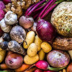 6 associations de légumes d'hiver qui fonctionnent et des idées de recettes !
