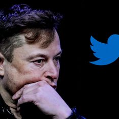 La fuga dei dipendenti di Twitter da Elon Musk: cosa sta succedendo?