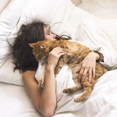 Katze im Bett schlafen lassen: Okay oder gefährlich für die Gesundheit?