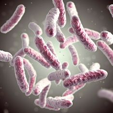 Che cos’è la Legionella? Sintomi e caratteristiche