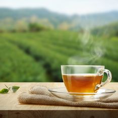 Découvrez le nombre de tasses de thé à ne pas dépasser chaque jour pour préserver votre santé