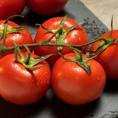 Où trouver des tomates pas chères (à prix coûtant pour 1,99 euros le kilo) en magasin ?