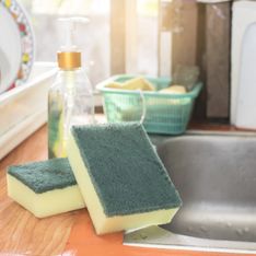 5 objets dont vous devriez définitivement vous débarrasser dans votre cuisine pour préserver votre santé