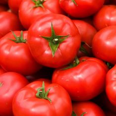 Pourquoi vous ne devriez pas mettre vos tomates au frigo