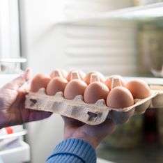 Doit-on mettre ses œufs au frigo lorsqu'il fait très chaud et peuvent-ils tourner avec la chaleur ?