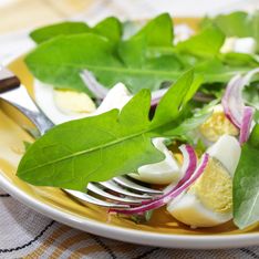 Salade : une recette délicieuse à tester de ce pas avec ces fleurs que l'on trouve partout autour de nous !