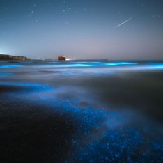 Descubre la magia de estas playas bioluminiscentes que puedes ver en España