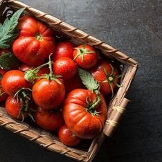 Pour conserver leur goût et leur texture, voilà le meilleur endroit pour stocker vos tomates